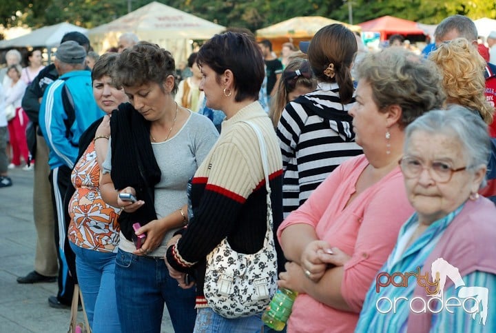 Festivalul vinului şi Târgul pălincarilor,