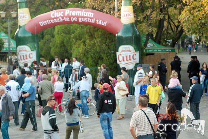 Festivalul vinului şi Târgul pălincarilor,