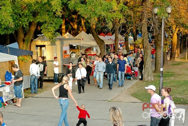 Festivalul vinului şi Târgul pălincarilor,
