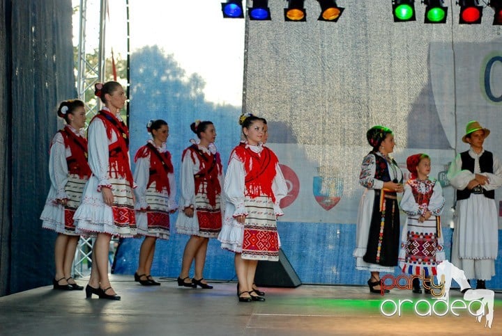 Festivalul vinului şi Târgul pălincarilor,