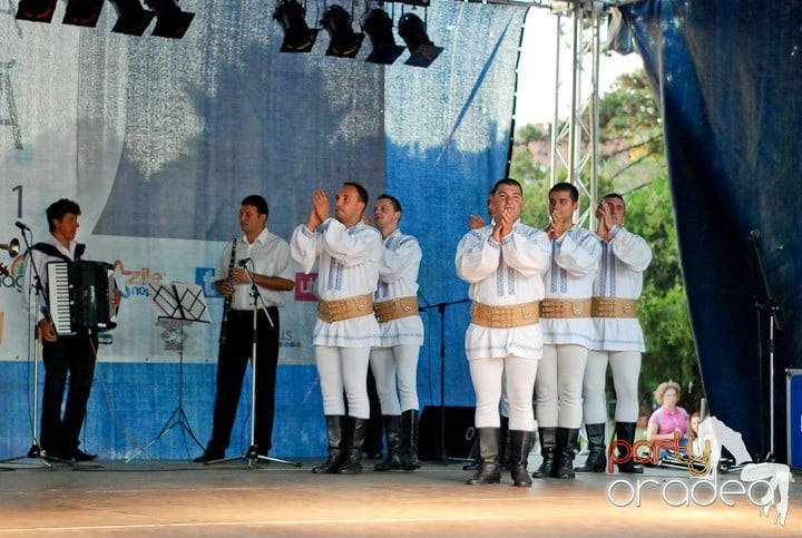Festivalul vinului şi Târgul pălincarilor,