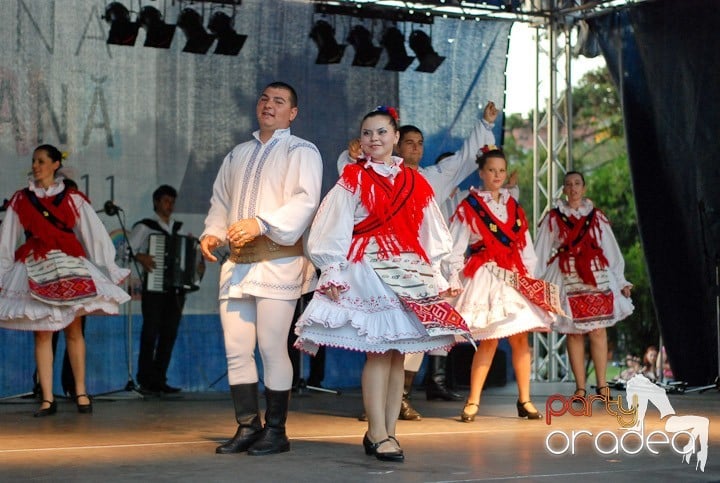 Festivalul vinului şi Târgul pălincarilor,