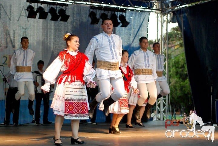 Festivalul vinului şi Târgul pălincarilor,