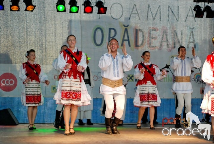 Festivalul vinului şi Târgul pălincarilor,