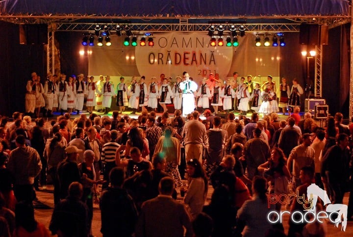 Festivalul vinului şi Târgul pălincarilor,