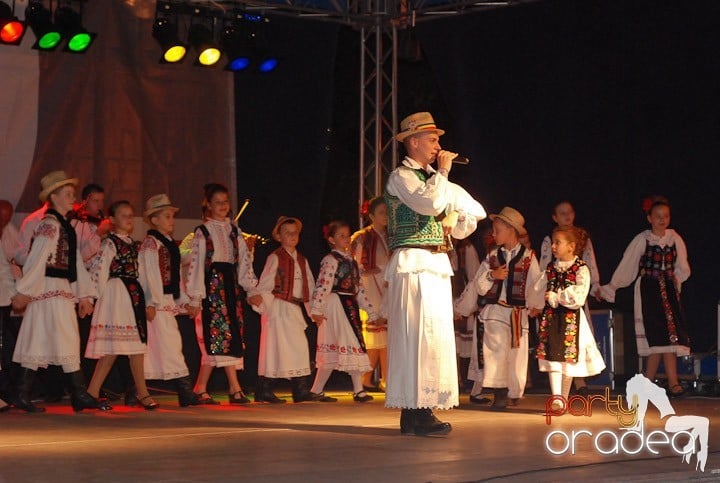 Festivalul vinului şi Târgul pălincarilor,