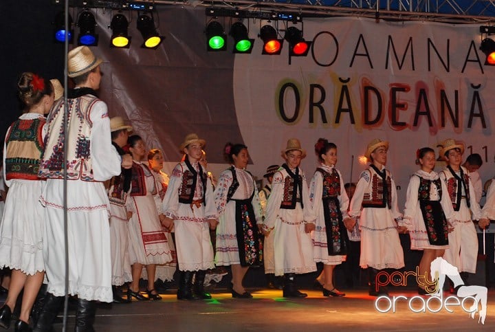 Festivalul vinului şi Târgul pălincarilor,