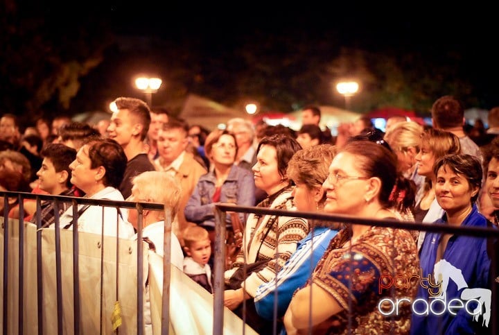 Festivalul vinului şi Târgul pălincarilor,