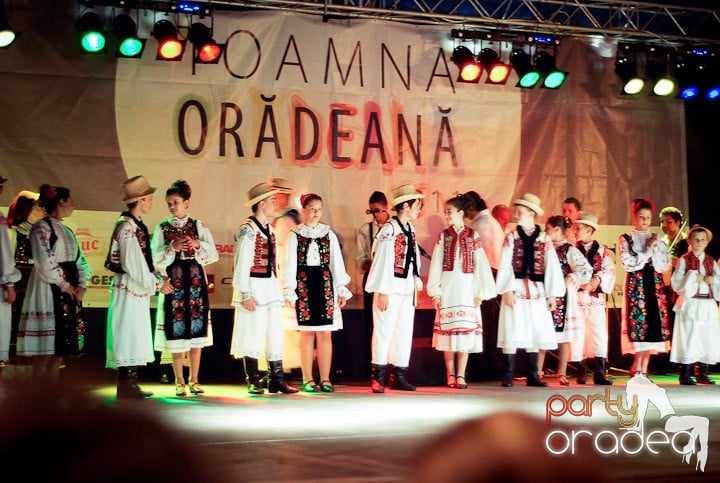 Festivalul vinului şi Târgul pălincarilor,