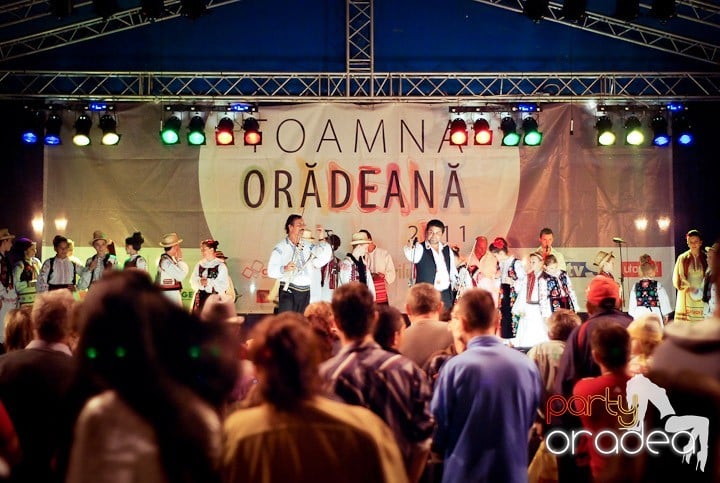 Festivalul vinului şi Târgul pălincarilor,