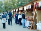 Festivalul vinului şi Târgul pălincarilor
