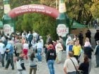 Festivalul vinului şi Târgul pălincarilor