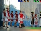 Festivalul vinului şi Târgul pălincarilor