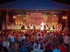 Festivalul vinului şi Târgul pălincarilor