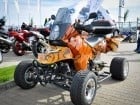 Festivitate de deschidere showroom BMW Motorrad GWP Oradea