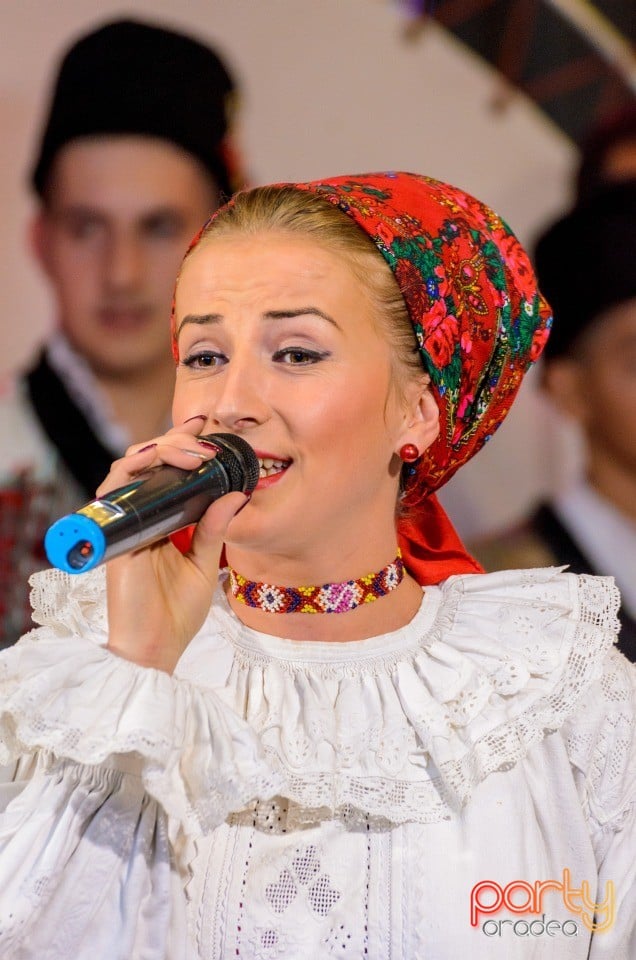 Finala Artist de Bihor, Lotus Center