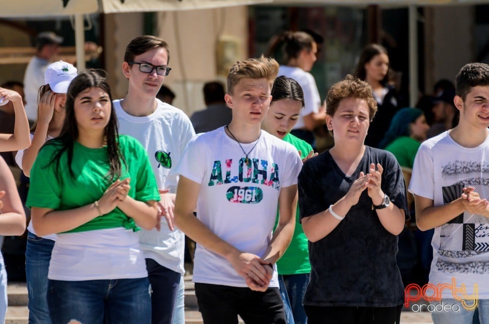 Flash Mob Anti Drog, Oradea