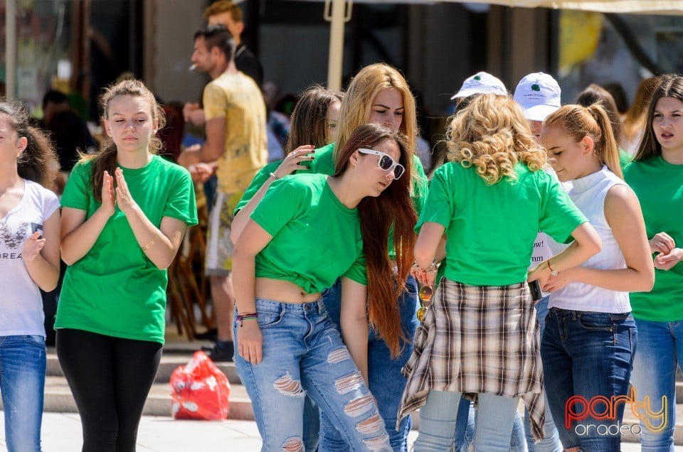 Flash Mob Anti Drog, Oradea