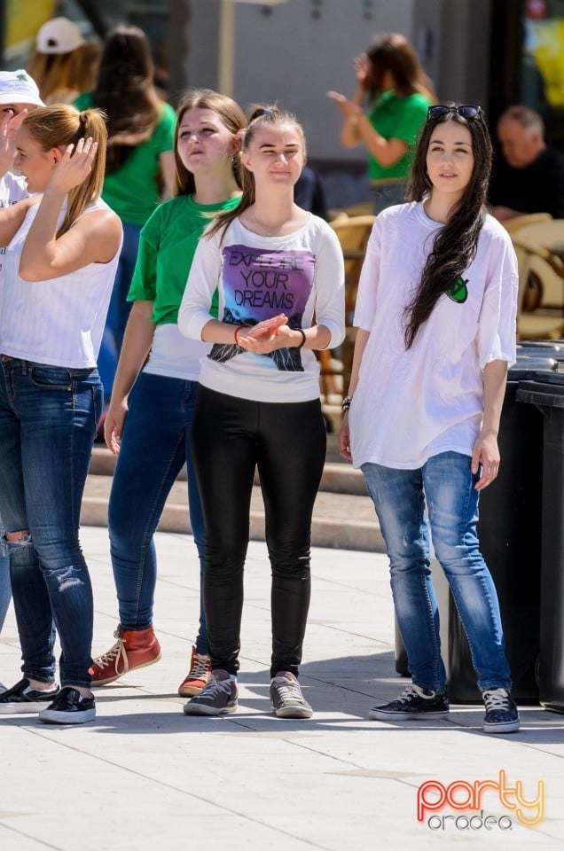 Flash Mob Anti Drog, Oradea