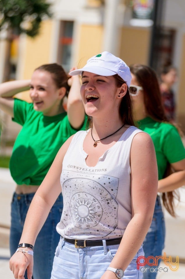 Flash Mob Anti Drog, Oradea