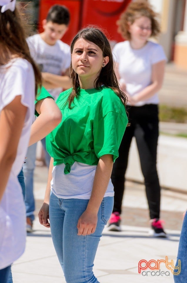 Flash Mob Anti Drog, Oradea