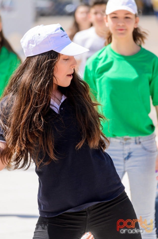 Flash Mob Anti Drog, Oradea