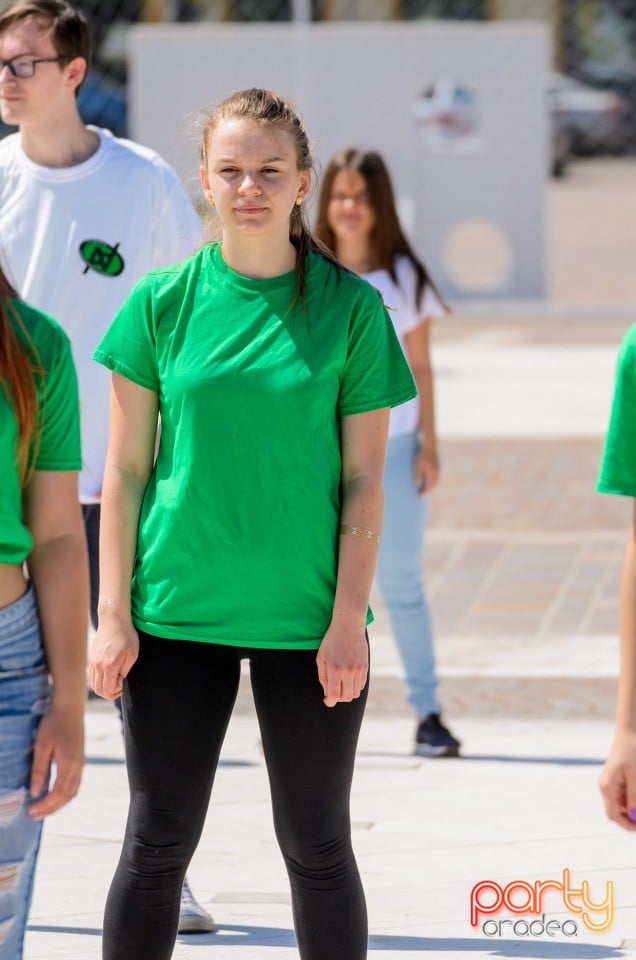 Flash Mob Anti Drog, Oradea