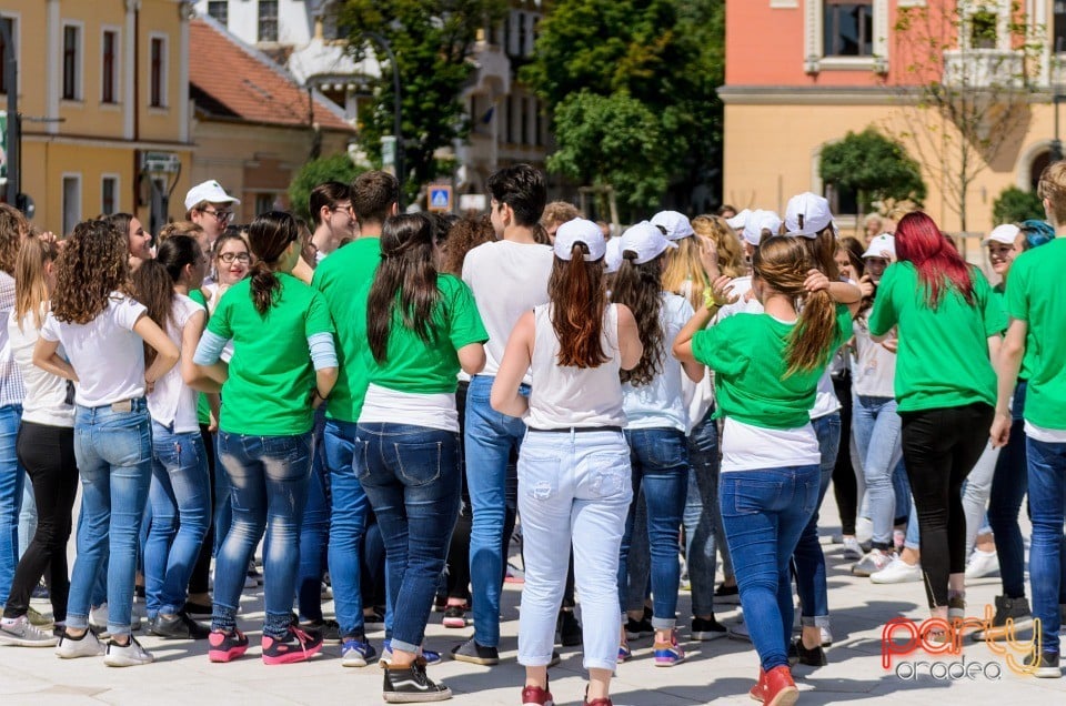 Flash Mob Anti Drog, Oradea