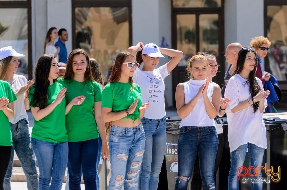 Flash Mob Anti Drog, Oradea