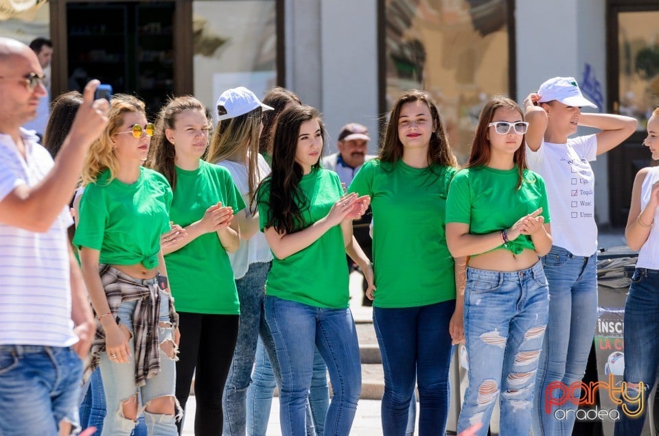 Flash Mob Anti Drog, Oradea