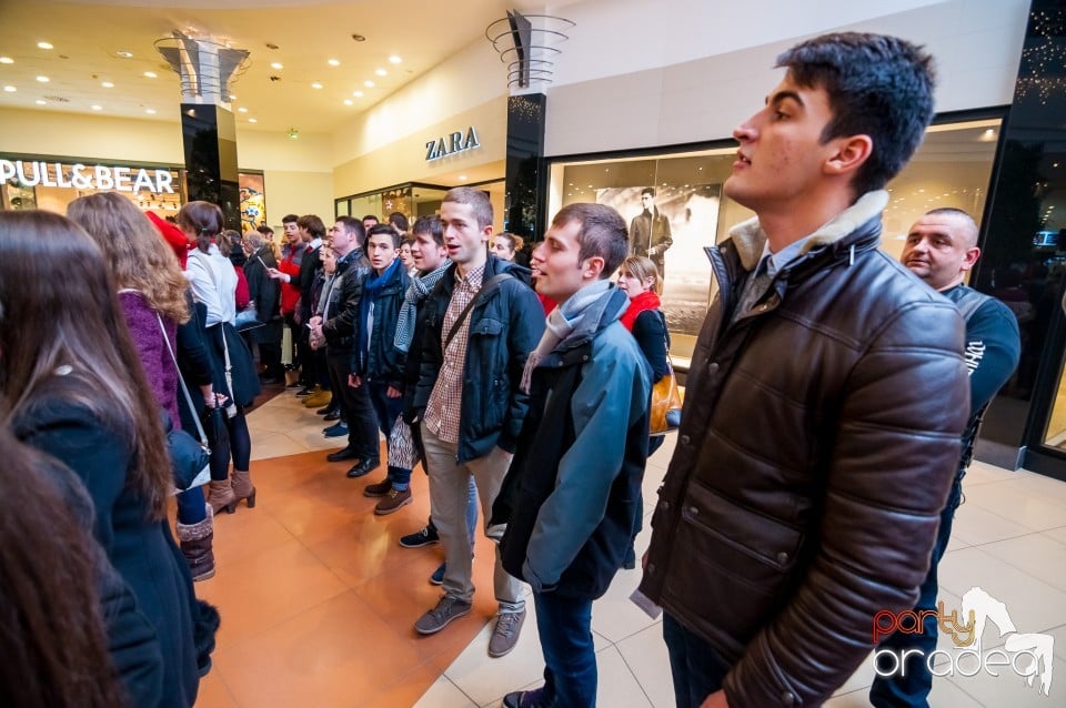 Flash mob, Lotus Center