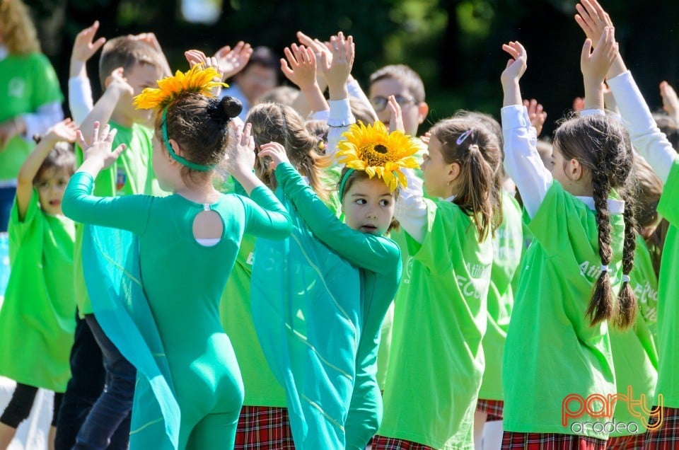 Flashmob - Atitudinea ECOnteaza, Oradea