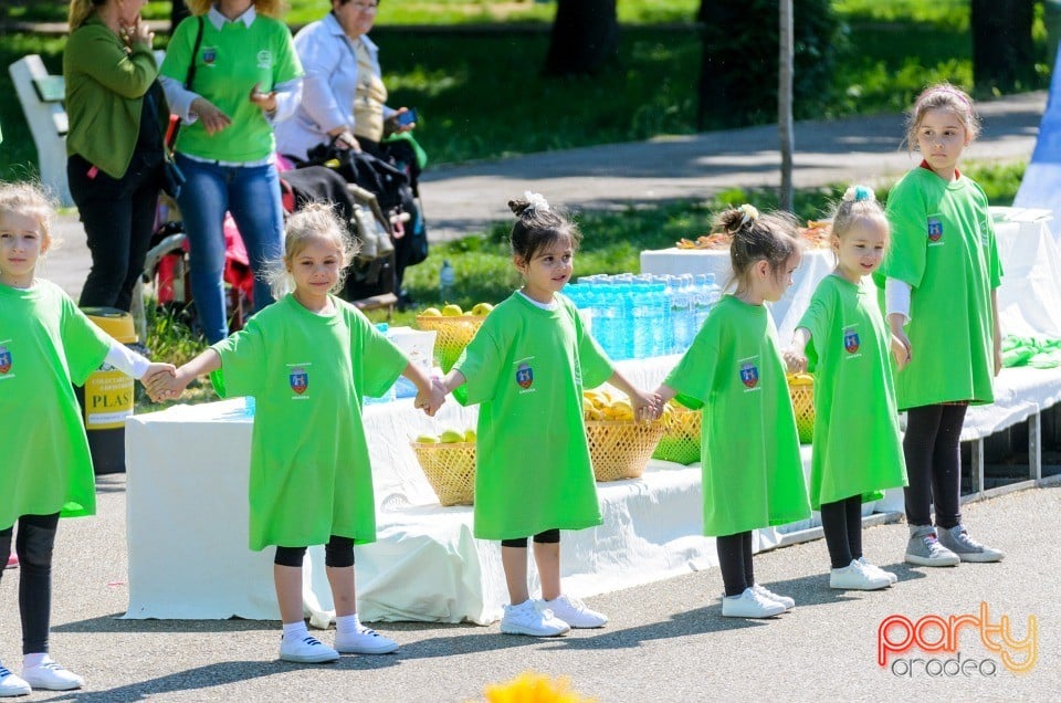 Flashmob - Atitudinea ECOnteaza, Oradea