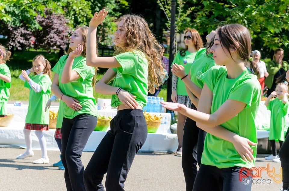 Flashmob - Atitudinea ECOnteaza, Oradea