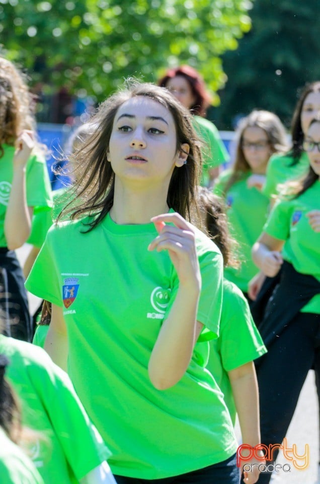 Flashmob - Atitudinea ECOnteaza, Oradea