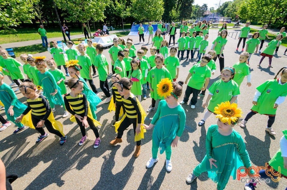 Flashmob - Atitudinea ECOnteaza, Oradea