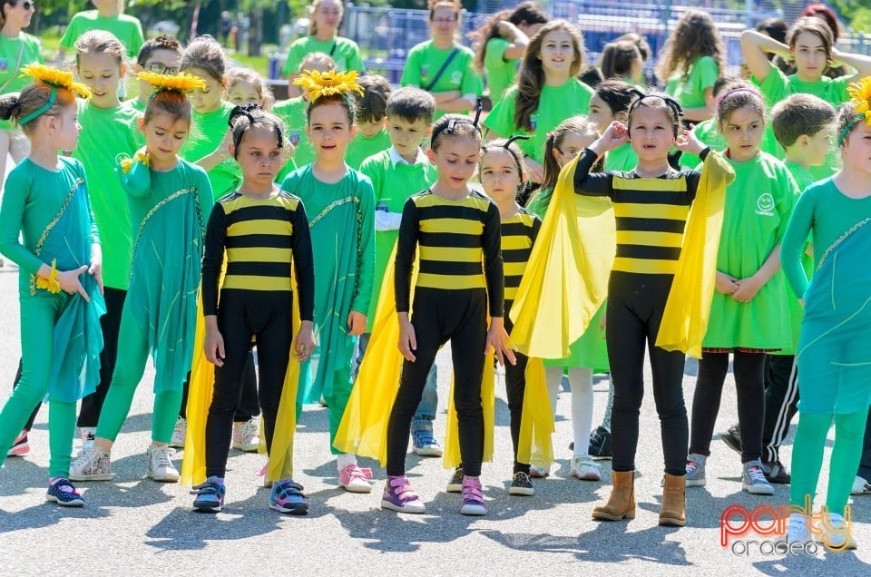 Flashmob - Atitudinea ECOnteaza, Oradea