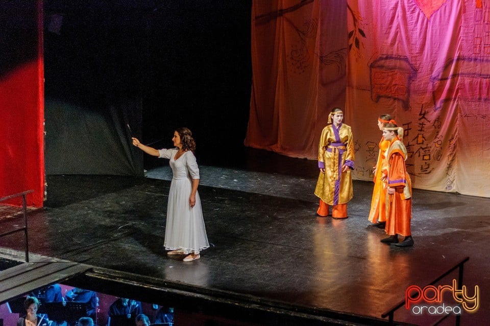 Flautul fermecat, Teatrul Regina Maria