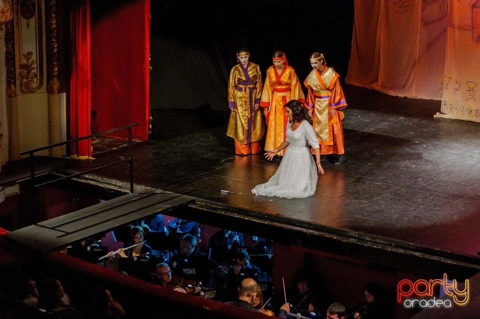 Flautul fermecat, Teatrul Regina Maria