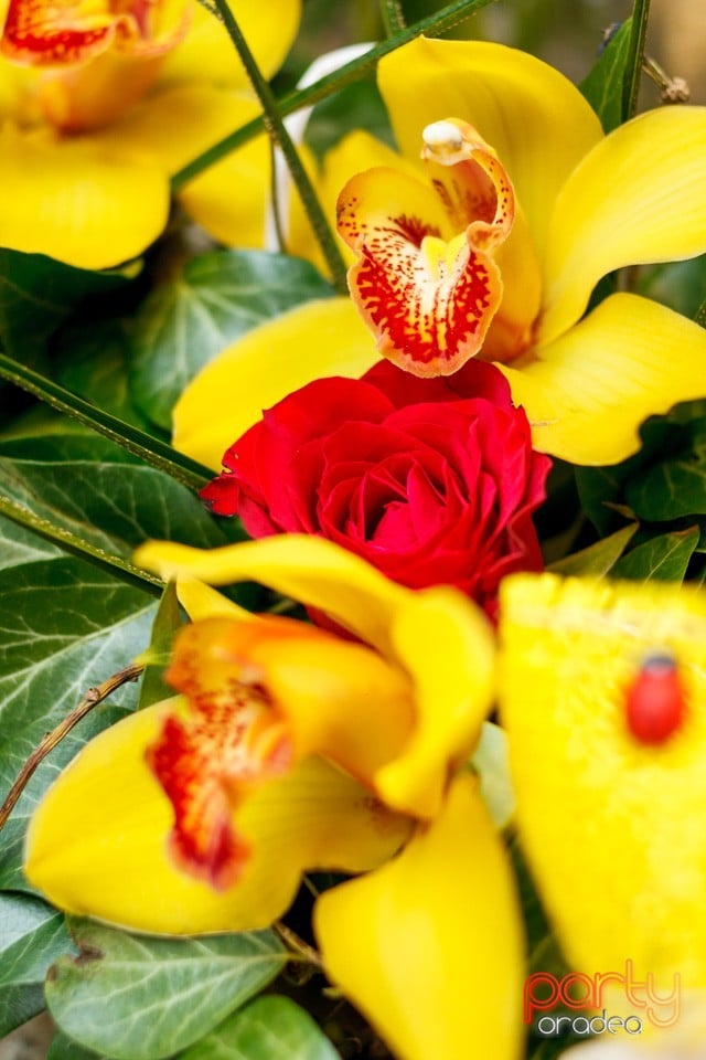 Floraria Peonia, Florăria Peonia