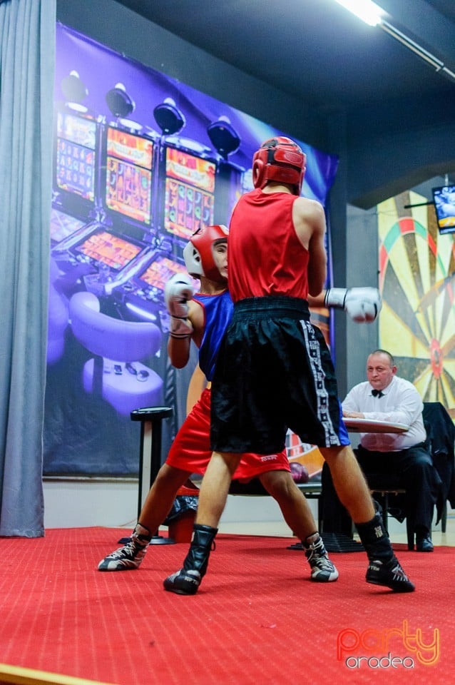 Gală de Box Demonstrativă, 