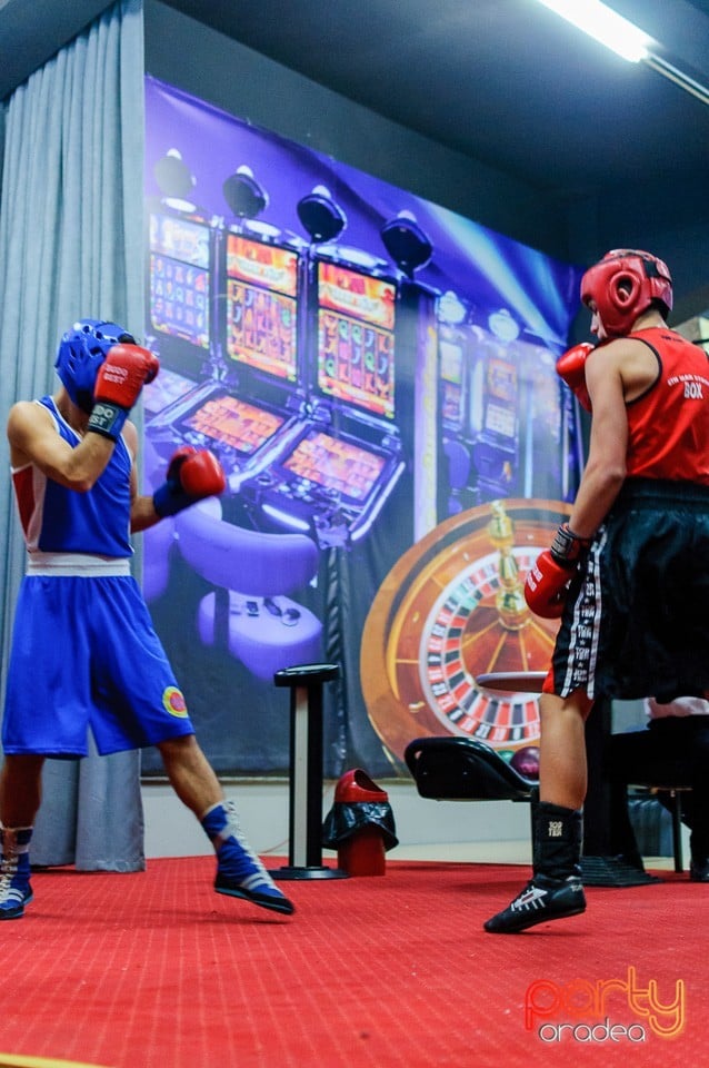 Gală de Box Demonstrativă, 