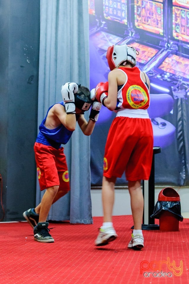 Gală de Box Demonstrativă, 