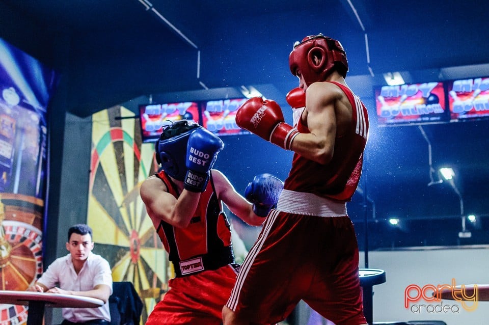 Gală de Box Demonstrativă, 