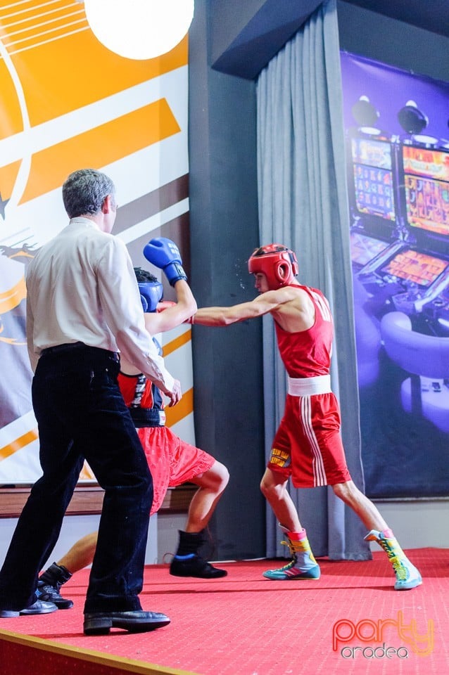 Gală de Box Demonstrativă, 