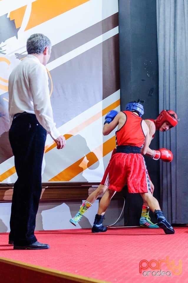Gală de Box Demonstrativă, 