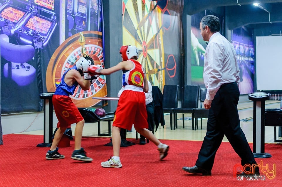Gală de Box Demonstrativă, 