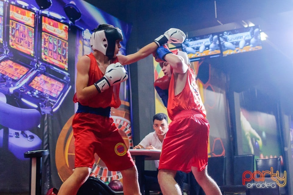 Gală de Box Demonstrativă, 