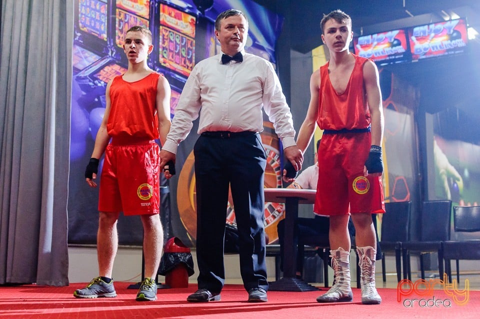 Gală de Box Demonstrativă, 