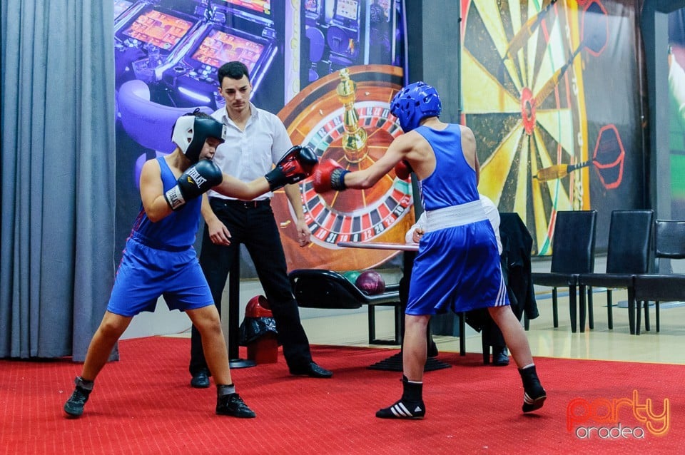 Gală de Box Demonstrativă, 